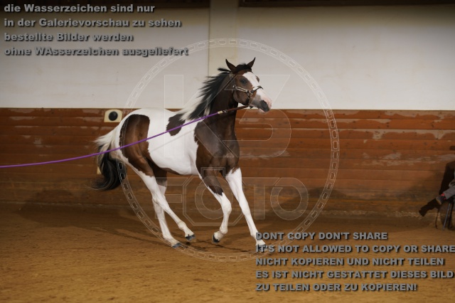 s_K3F01761.JPG
